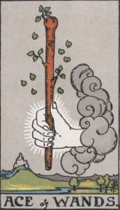 Picture Shows Ace of wands